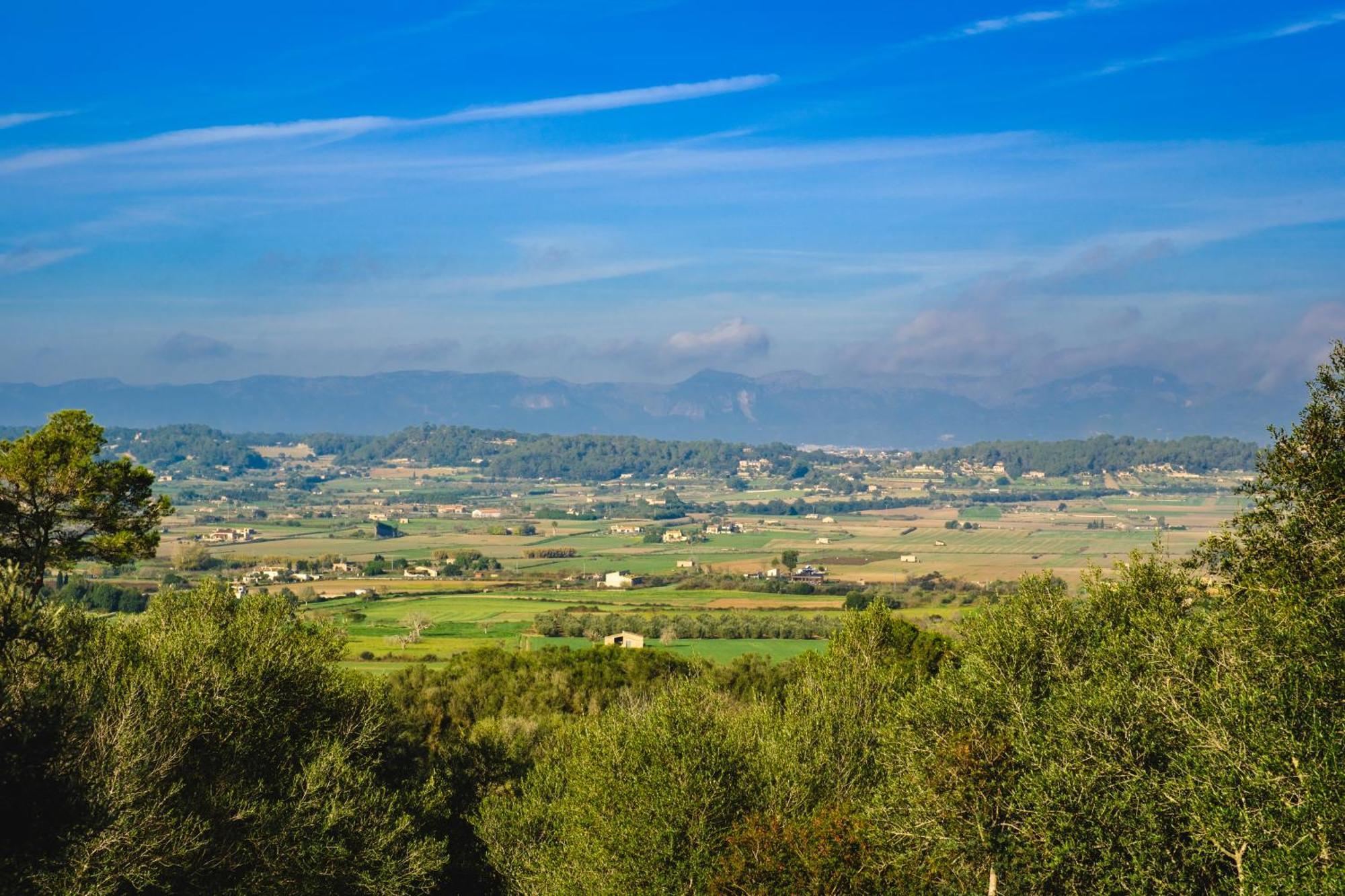 Finca Sa Bastida Luxury Retreat & Spa Adults Only Sant Joan المظهر الخارجي الصورة