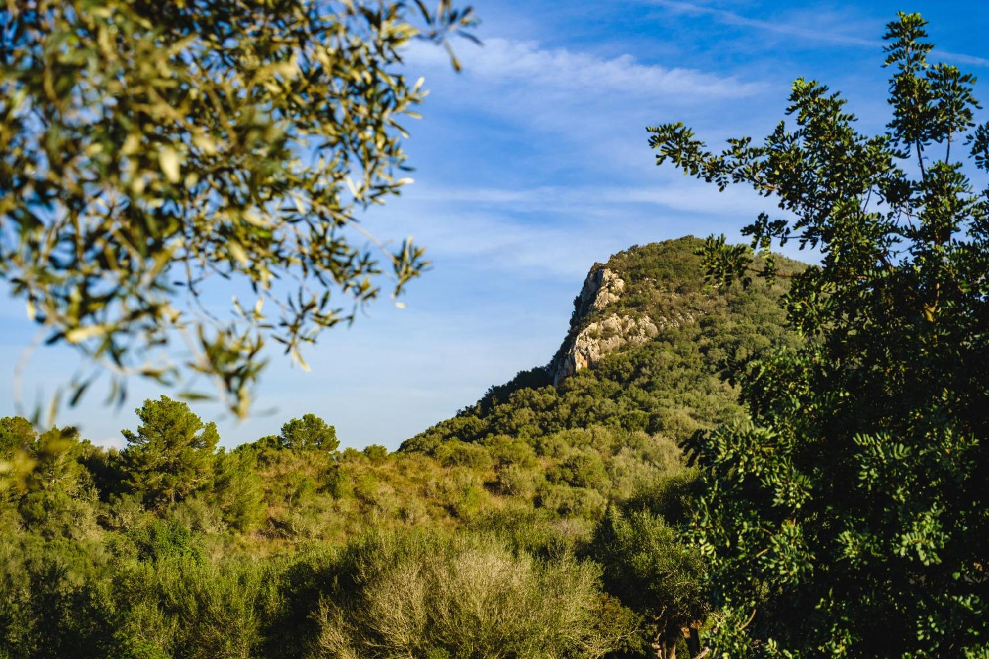 Finca Sa Bastida Luxury Retreat & Spa Adults Only Sant Joan المظهر الخارجي الصورة