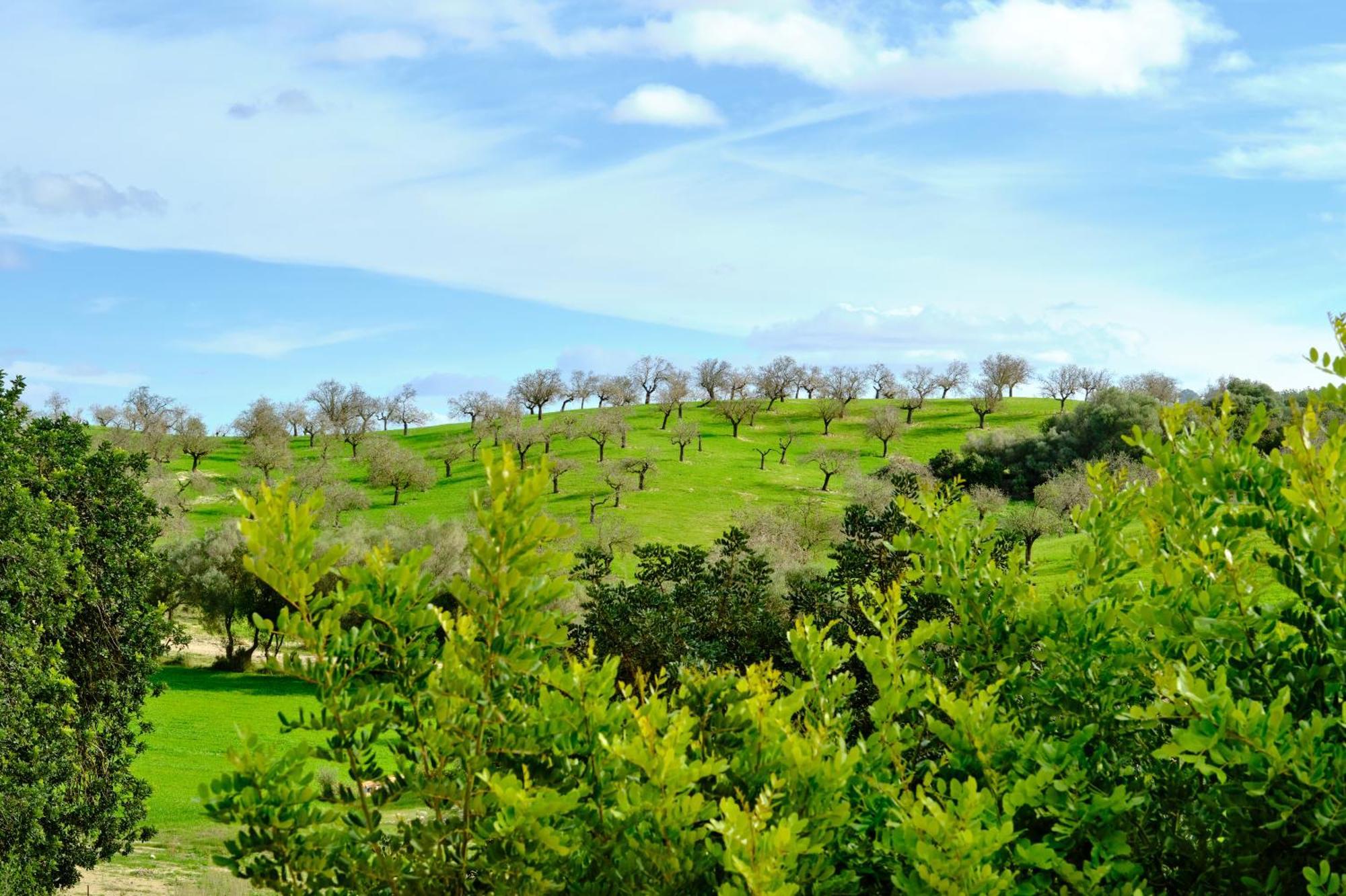 Finca Sa Bastida Luxury Retreat & Spa Adults Only Sant Joan المظهر الخارجي الصورة